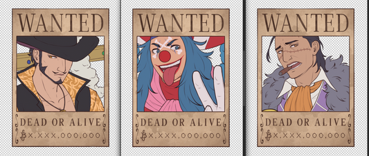 One Piece - WANTED