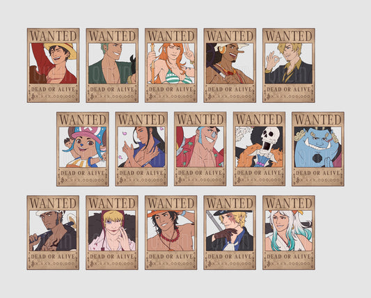 One Piece - WANTED